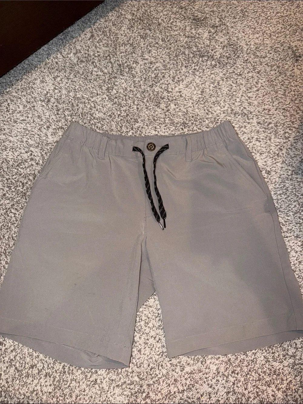 Men's Chubbies Gray Drawstring Shorts